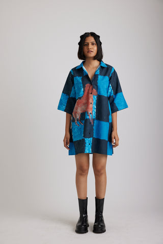 The ride ( shirt dress )